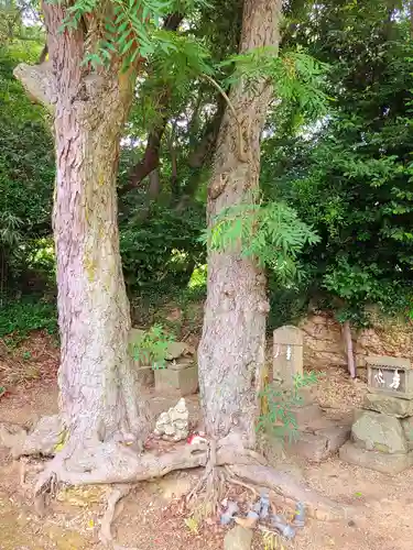 狩尾神社須賀神社(福岡県)
