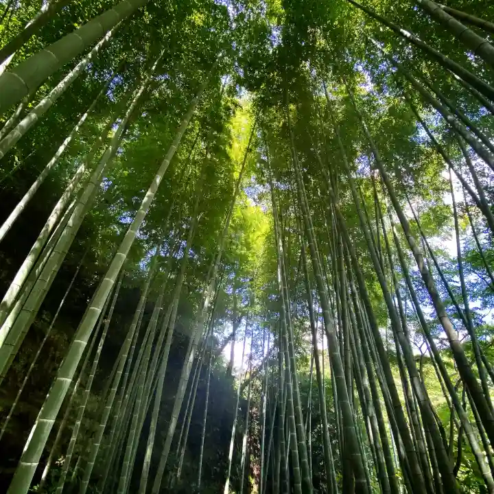 明月院(神奈川県)