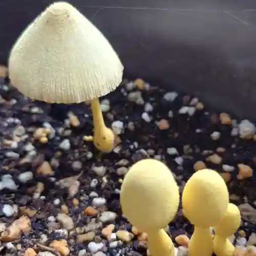 成田山大照寺(北海道)