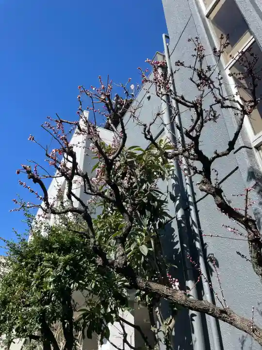 真宗西善寺の{uncategorized: "未分類", other: "その他", undefined: "問題あり", building: "その他建物", grave: "お墓", sacred_gate: "鳥居", guardian: "狛犬", statue: "像", buddha: "仏像", history: "歴史", nature: "自然", garden: "庭園", animal: "動物", pagoda: "塔", temizu: "手水舎", mountain_gate: "山門・神門", sanctuary: "本殿・本堂", subordinate: "末社・摂社", art: "芸術", scenery: "景色", jizo: "地蔵", ema: "絵馬", goshuin: "御朱印", omikuji: "おみくじ", items: "授与品その他", amulet: "お守り", goshuincho: "御朱印帳", eats: "食事", festival: "お祭り", votive_dance: "神楽", shichigosan: "七五三参", wedding: "結婚式", experience: "体験その他", initially: "初詣", around: "周辺", anti_infection: "感染症対策"}