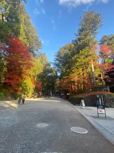 輪王寺(栃木県)