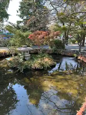 富士山本宮浅間大社(静岡県)