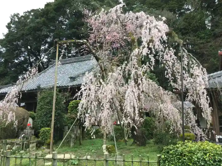 大野寺(奈良県)