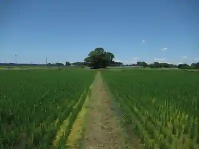 神明神社(千葉県)