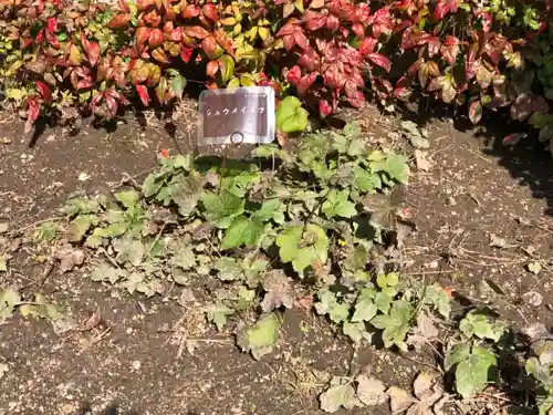 豊國神社の自然