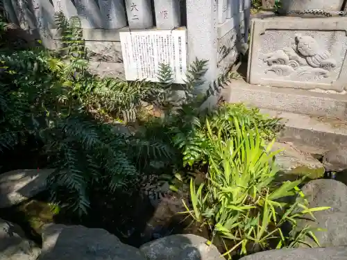 馬橋稲荷神社(東京都)