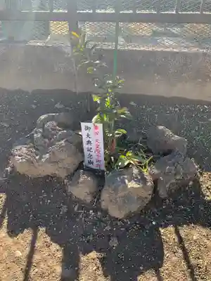 八雲神社のその他建物