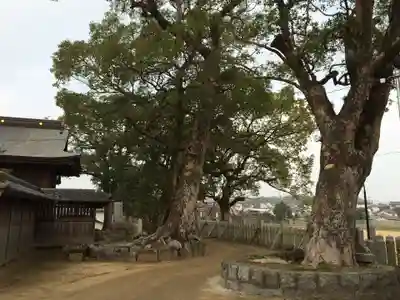 春日神社(福岡県)