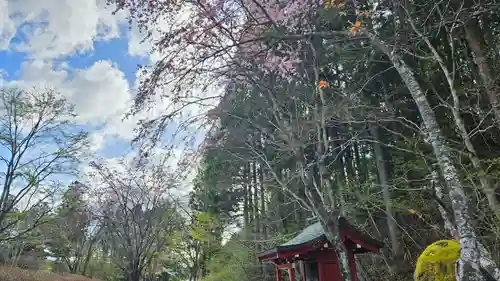 慈雲寺（並び地蔵　化け地蔵）(栃木県)