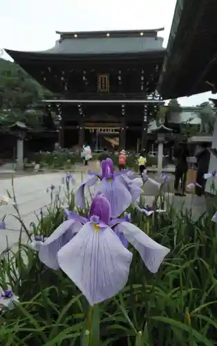 宮地嶽神社の山門