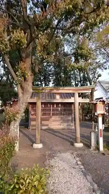 大神神社の鳥居