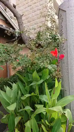 菅生神社のその他建物