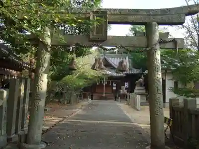 妙見神社(徳島県)