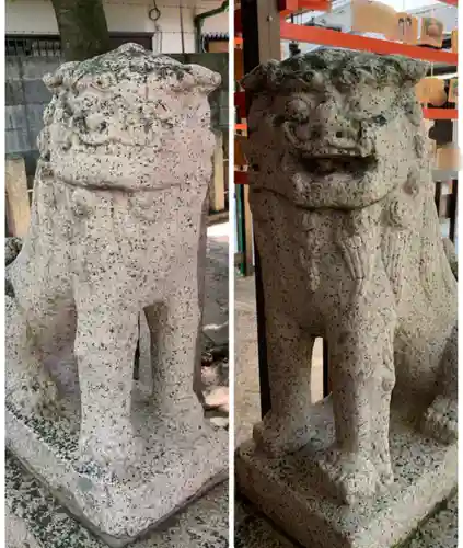 七松八幡神社の狛犬