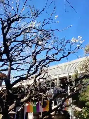 常性寺(東京都)