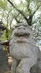 近戸神社の狛犬