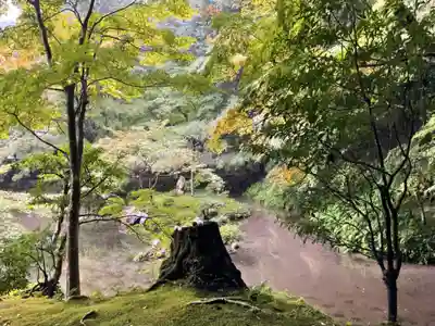 南禅院(京都府)