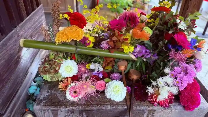 勝林寺(京都府)