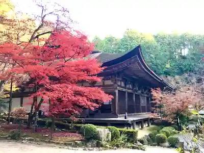 金剛輪寺の本殿・本堂
