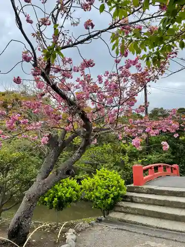 鶴岡八幡宮の自然