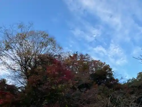 明月院(神奈川県)