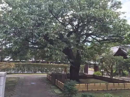 輪王寺両大師堂(寛永寺輪王殿)のその他建物