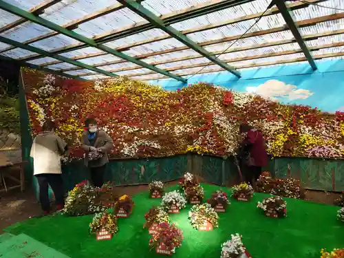 彌彦神社の庭園