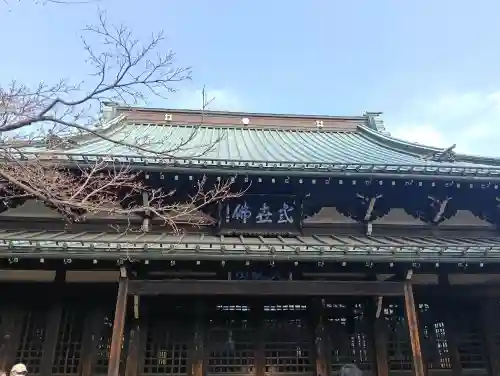 豪徳寺の{uncategorized: "未分類", other: "その他", undefined: "問題あり", building: "その他建物", grave: "お墓", sacred_gate: "鳥居", guardian: "狛犬", statue: "像", buddha: "仏像", history: "歴史", nature: "自然", garden: "庭園", animal: "動物", pagoda: "塔", temizu: "手水舎", mountain_gate: "山門・神門", sanctuary: "本殿・本堂", subordinate: "末社・摂社", art: "芸術", scenery: "景色", jizo: "地蔵", ema: "絵馬", goshuin: "御朱印", omikuji: "おみくじ", items: "授与品その他", amulet: "お守り", goshuincho: "御朱印帳", eats: "食事", festival: "お祭り", votive_dance: "神楽", shichigosan: "七五三参", wedding: "結婚式", experience: "体験その他", initially: "初詣", around: "周辺", anti_infection: "感染症対策"}