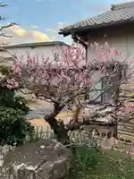 梅香寺(三重県)