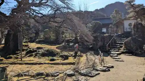 西善寺の庭園