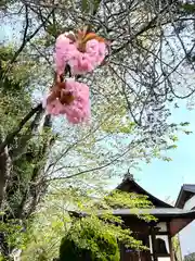 西光寺(長野県)