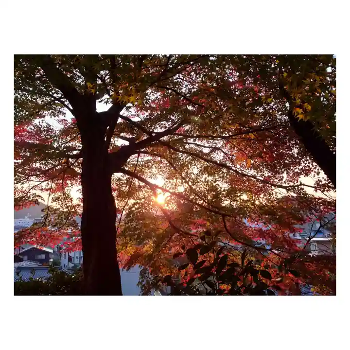 岐阜稲荷山本社(岐阜県)