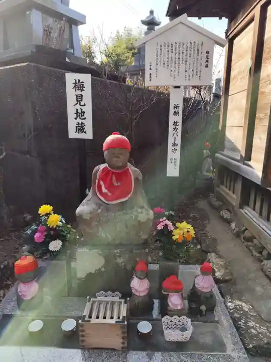 善楽寺(高知県)