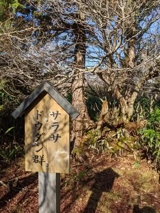 天の岩戸(飛騨一宮水無神社奥宮)(岐阜県)