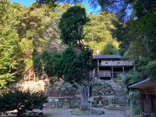 日龍峯寺(高澤観音)(美濃清水)(岐阜県)