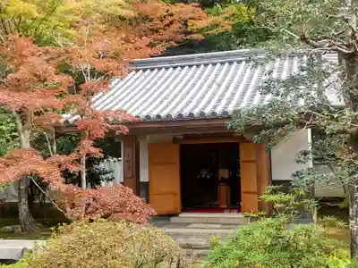 隨心院(随心院)(京都府)