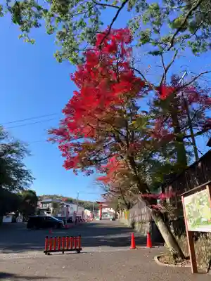白笹稲荷神社(神奈川県)