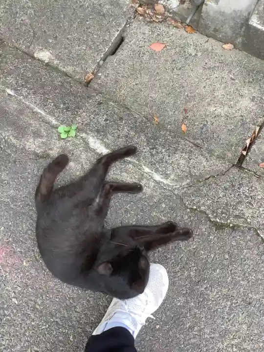 清水寺(愛知県)