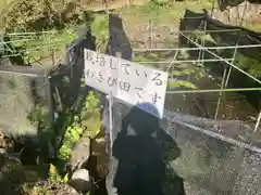 大滝神社(山梨県)