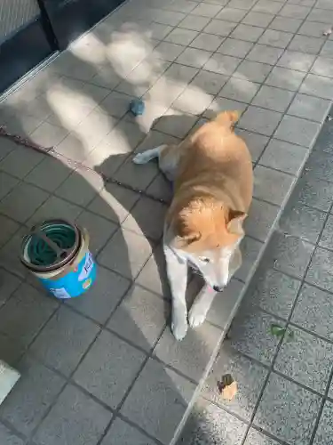 笠䅣稲荷神社(神奈川県)