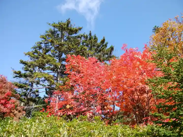 大雪山層雲峡神社(北海道)