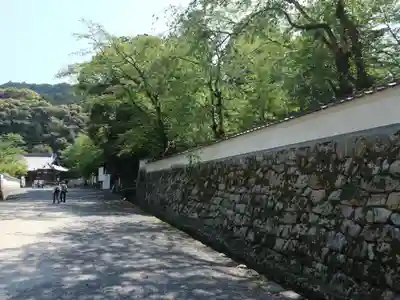 園城寺（三井寺）(滋賀県)