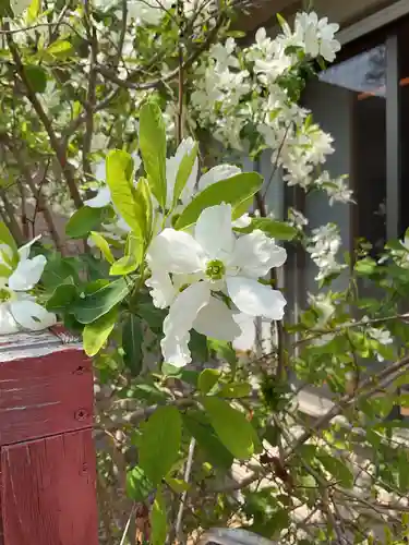 富部神社(愛知県)