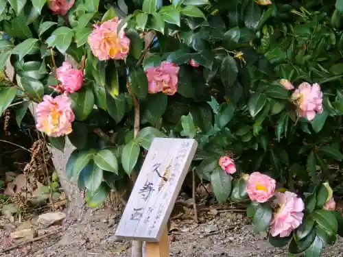 城南宮(京都府)