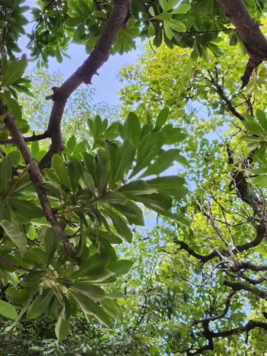 サムハラ神社(大阪府)