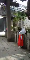 開口神社の体験その他