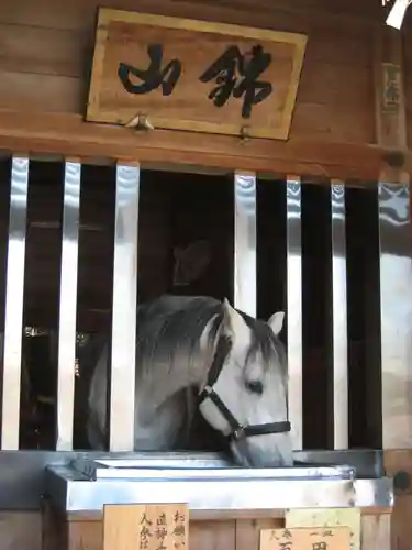 多度大社の動物