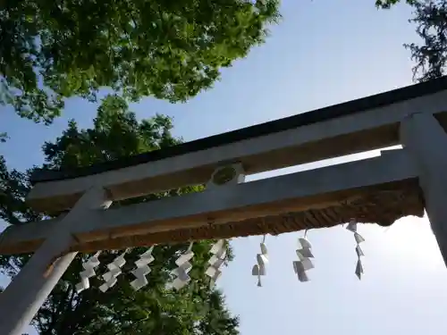 小野神社の鳥居