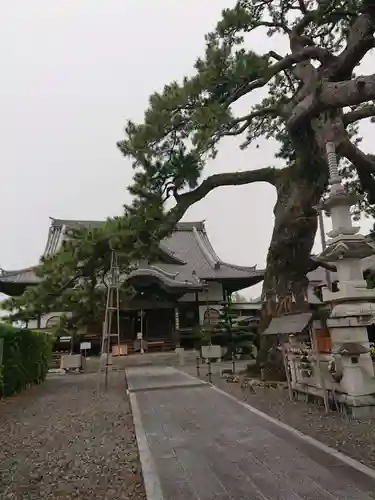 大慶寺の本殿・本堂