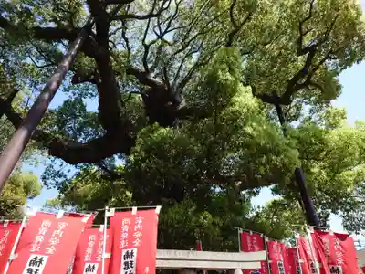 楠珺社（住吉大社末社）(大阪府)